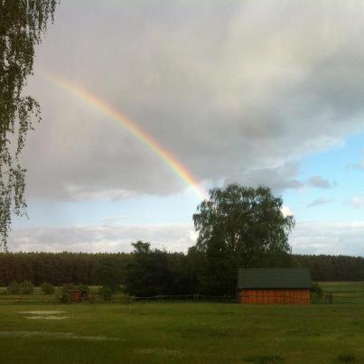Landhotel Am Peetscher See Mirow Bagian luar foto
